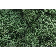 L164 Woodland Scenics Dark Green Lichen TMC 